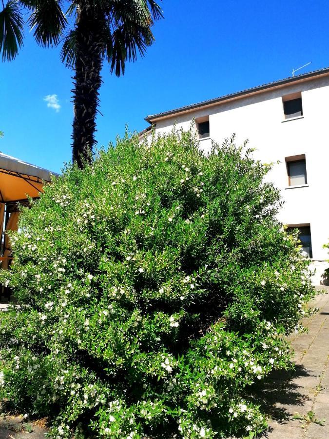 Agriturismo Da Andreina บอร์โซ เดล กราปปา ภายนอก รูปภาพ